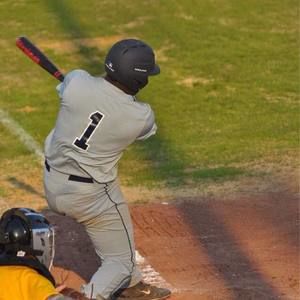 Meet your Posher, Norval